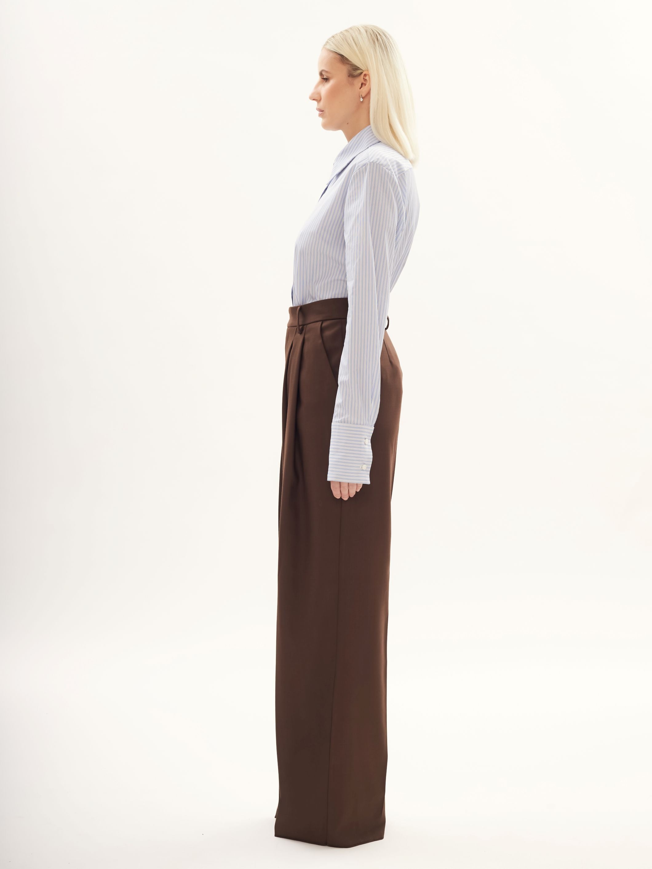 Wide-leg Tailored Pants in Brown